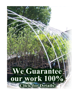 Guaranteed Nursery and  Landscape Service in Durham, Chapel Hill, Raleigh and beyond.