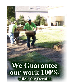 Guaranteed Nursery and  Landscape Service in Durham, Chapel Hill, Raleigh and beyond.