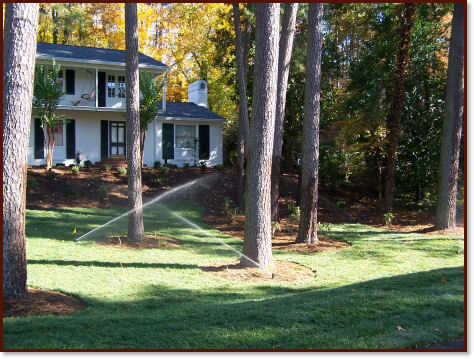 sprinklers watering front lawn amongst trees